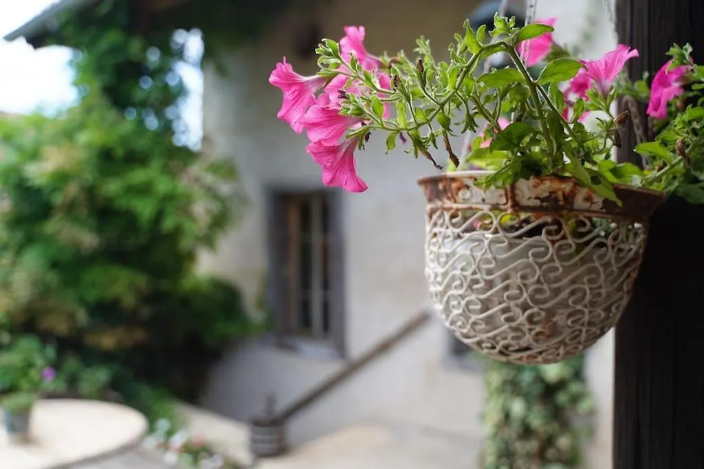 Maison Vigneron - Maison Et Studio Saint-Didier-sur-Beaujeu France